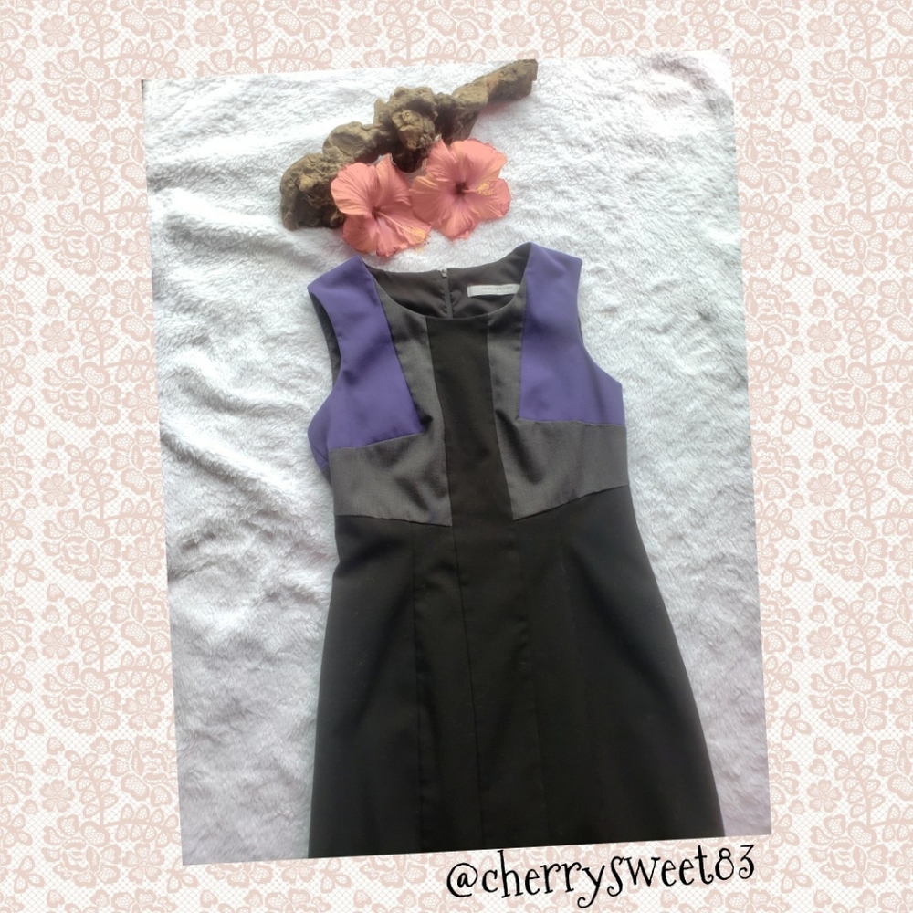 Andrew Marc NY Color Block Dress